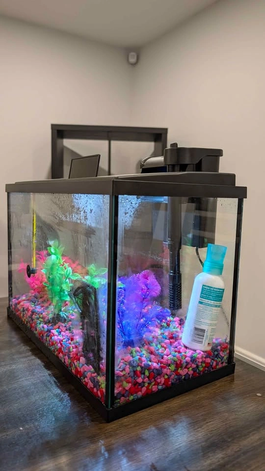 Glass Aquarium + Filter, LED, Decorations & Accessories - photo 4