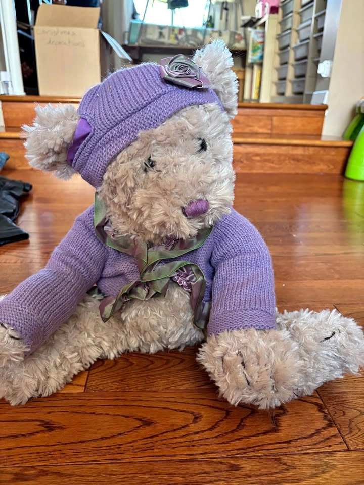 Purple outfit teddy bear