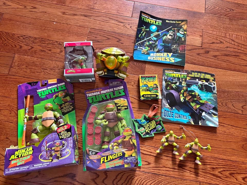 Ninja turtle bundle