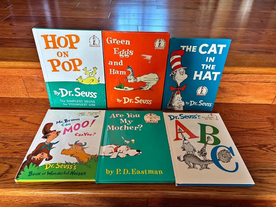 Dr Seuss book lot
