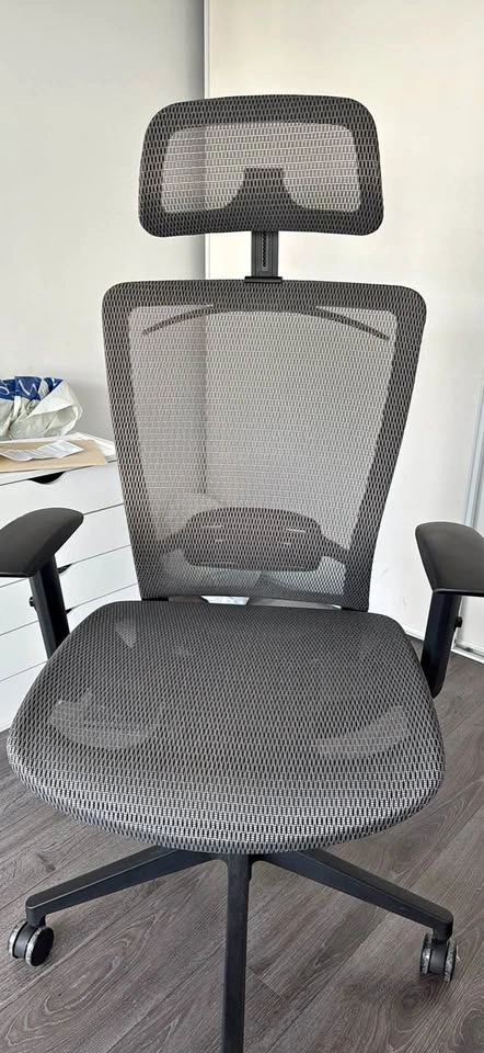 Ergonomic Mesh Office Chair with Headrest