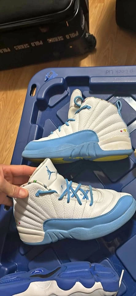 Air Jordan 12 Retro PS 3Y US