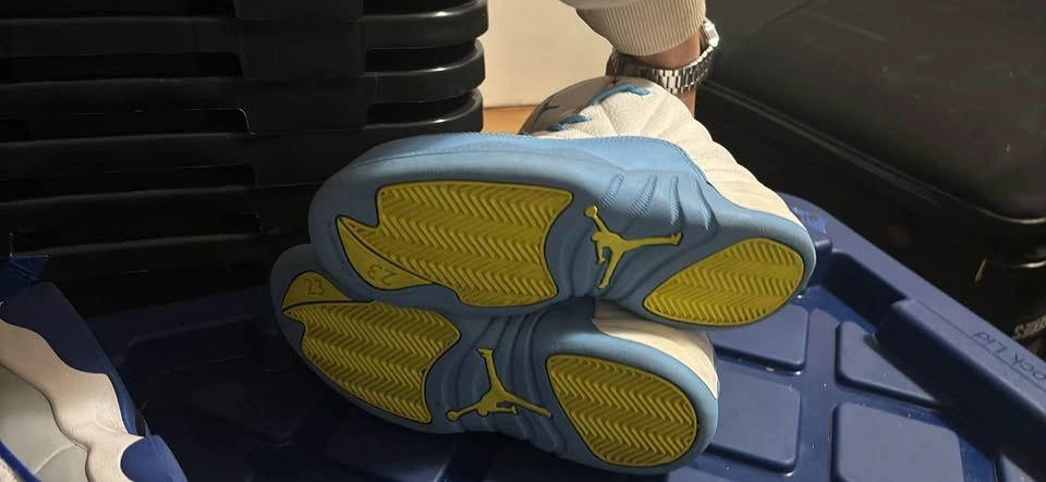 Air Jordan 12 Retro PS 3Y US - photo 3