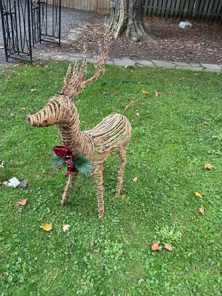 Bee & Willow Pre-Lit LED Rattan Deer - photo 3