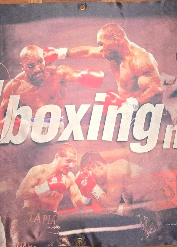 Showtime Boxing Banner: Tyson, Holyfield & More image indicator(3)