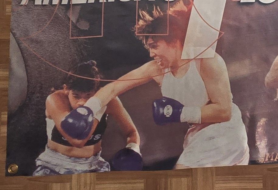 Showtime Boxing Banner: Tyson, Holyfield & More - photo 4