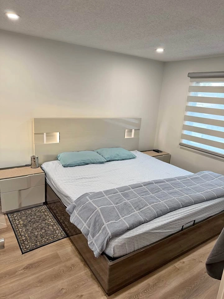 Hydraulic Bed with Mattress