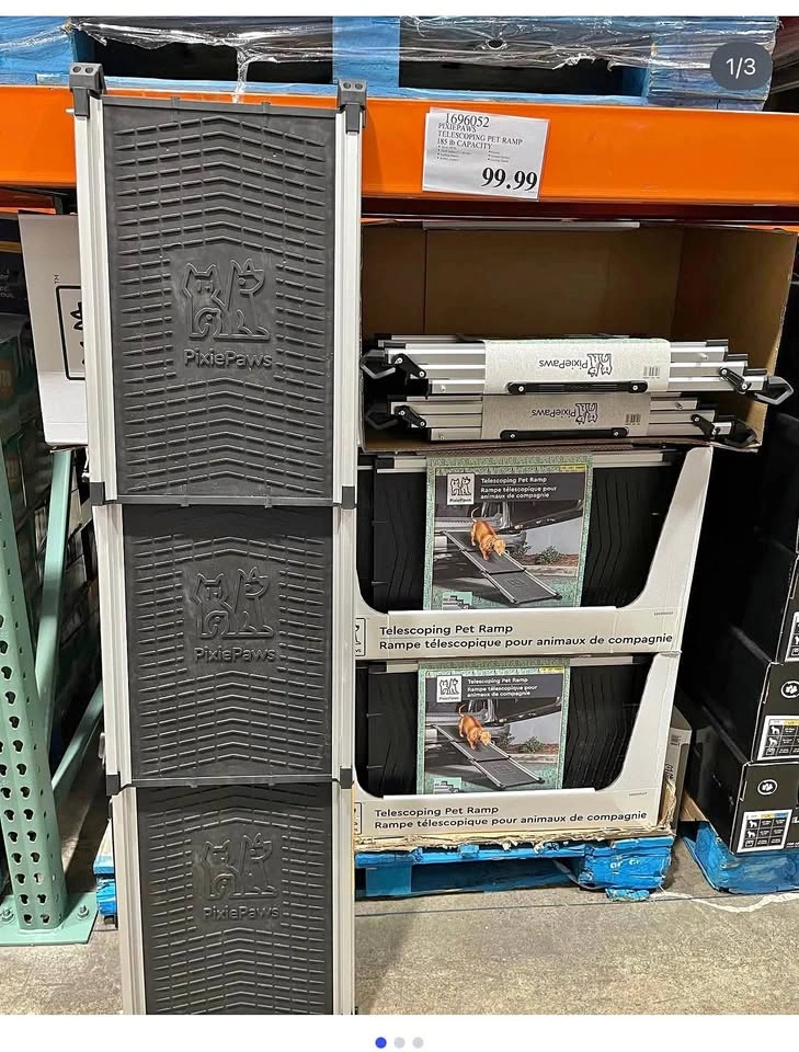 Pet ramp brand new