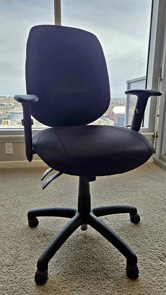Ergonomic Office Chair