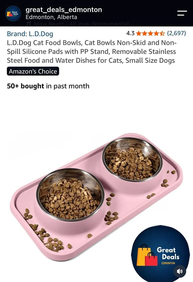 Pet food bowl