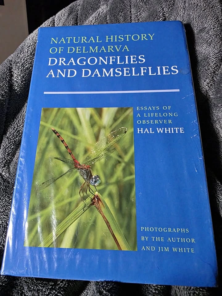 Natural History of Delmarva Dragonflies and Damselflies