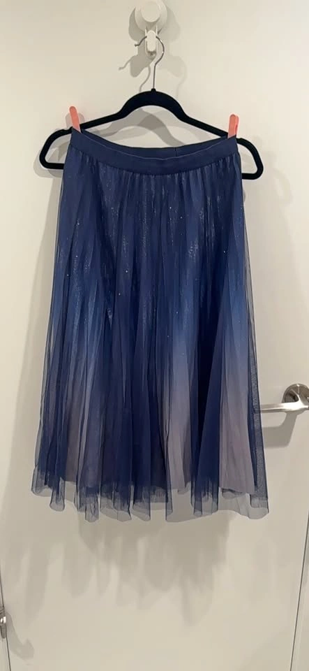 Blue Ombre Sparkling Tulle Pleated Skirt