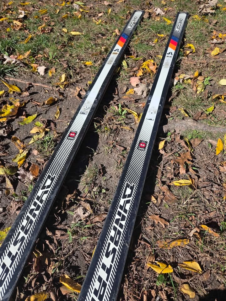 Dynastar Omesoft Skis - photo 2