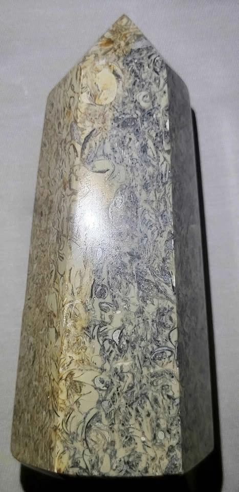 Beautiful Fossil Stone Tower – 6 Inches Tall - photo 4