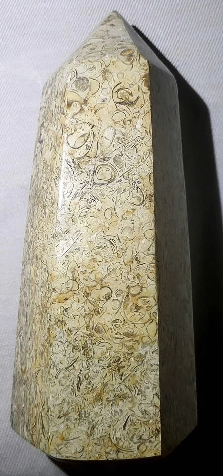 Beautiful Fossil Stone Tower – 6 Inches Tall - photo 5
