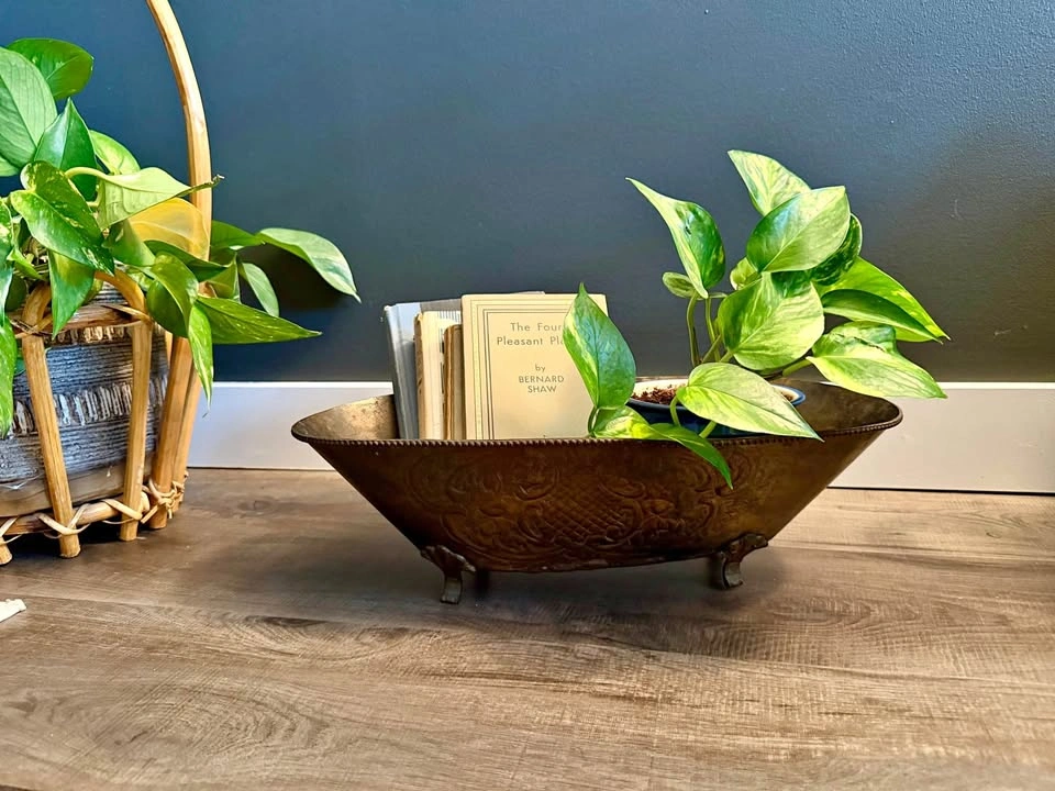 vintage brass toned footed bowl | 17.5”x8.5”
