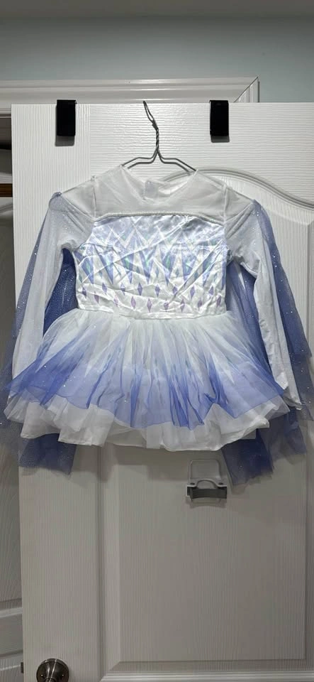 Disney Frozen 2 Elsa Costume Dress 3T-4T - photo 2