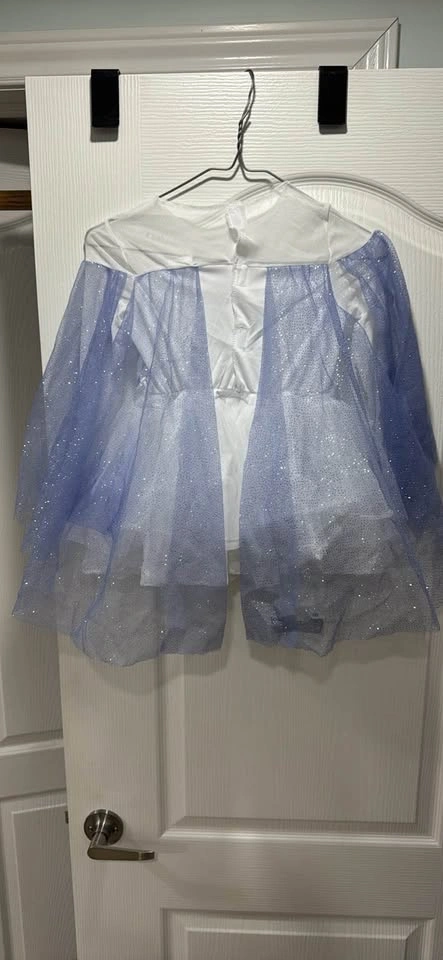 Disney Frozen 2 Elsa Costume Dress 3T-4T - photo 3