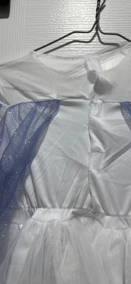 Disney Frozen 2 Elsa Costume Dress 3T-4T - photo 4