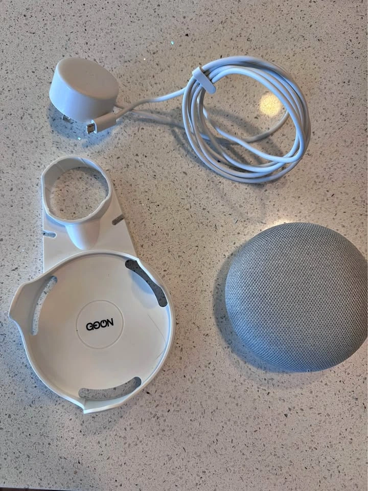 Google Nest Mini
