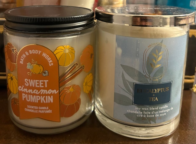 Bath and Body Works 1 Wick Candles