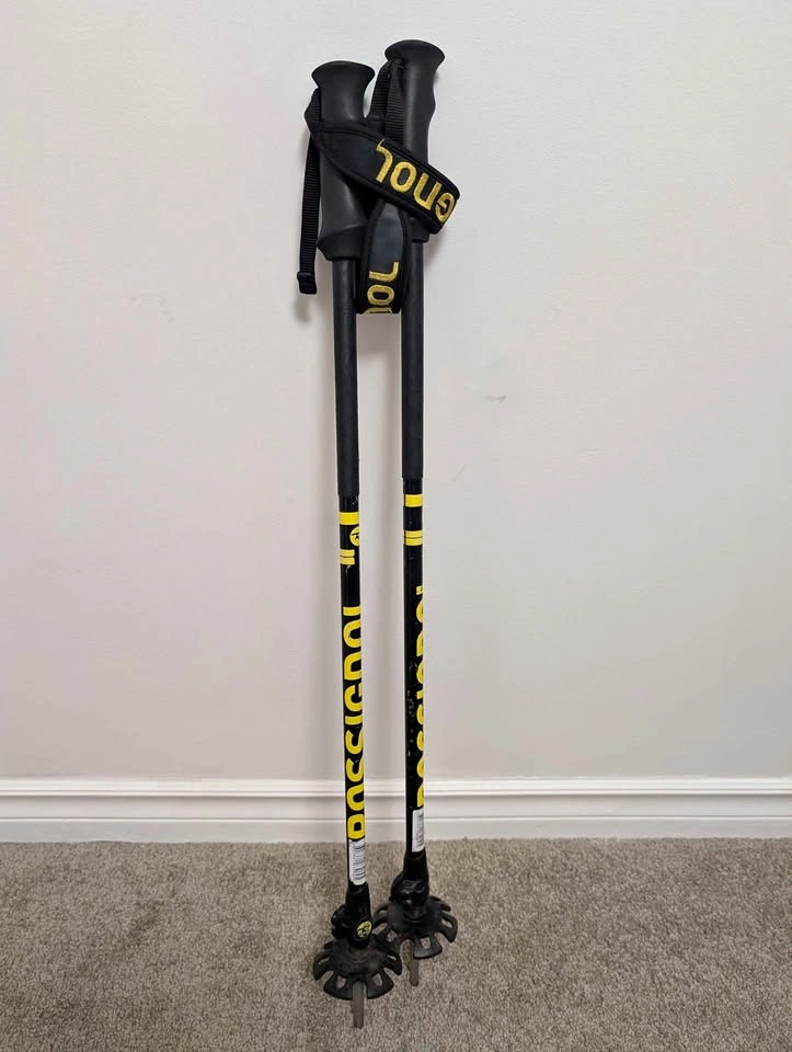 Trekking poles