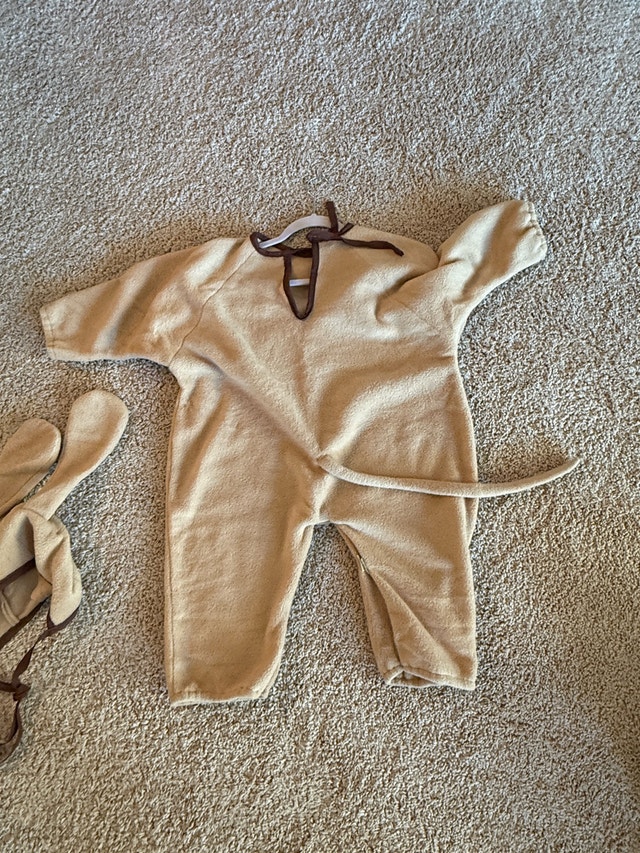 Kids Homemade Halloween costumes - photo 4