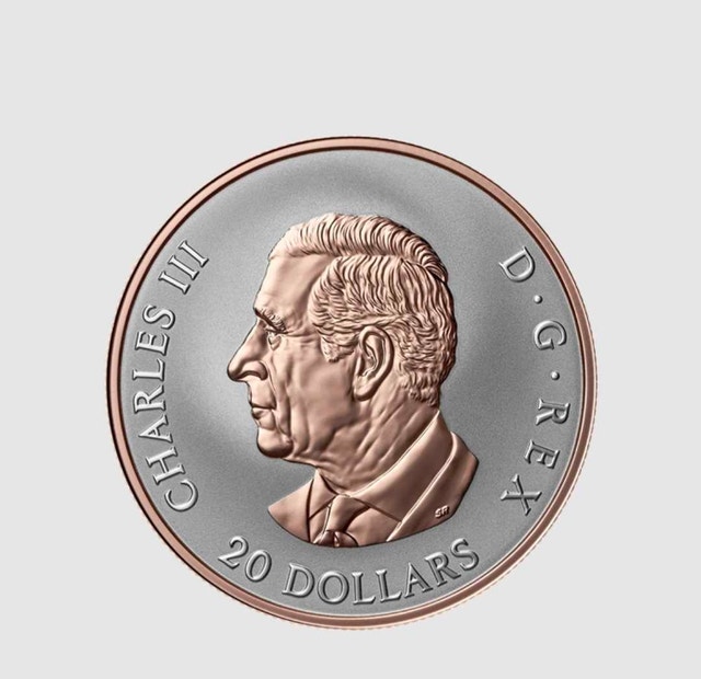 2026 Celebrate Love 1 oz. Fine Silver Coin - photo 2