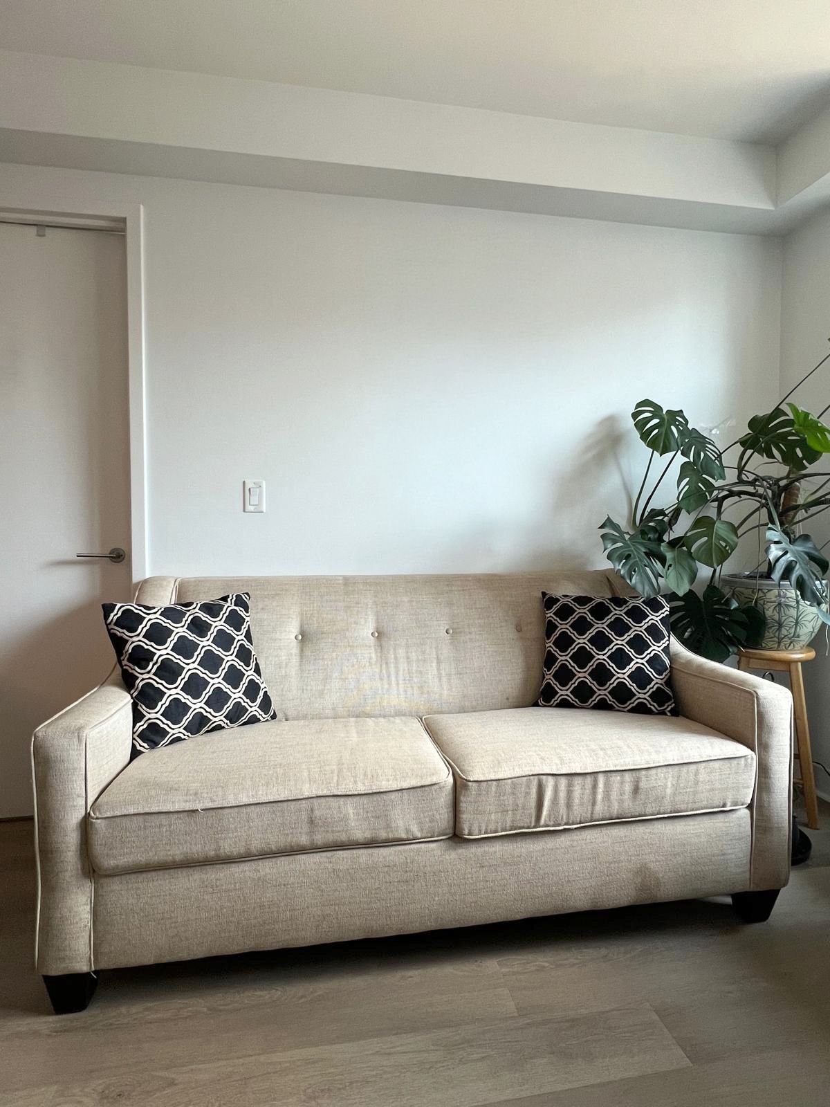 Modern Beige Pull Out Sofa Bed