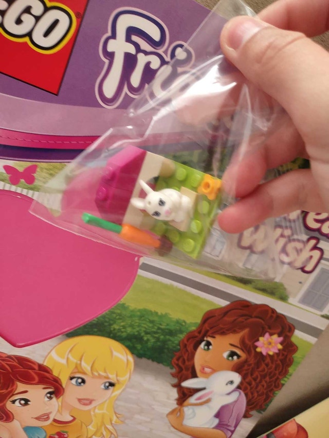 Lego Friends Animal Sets with Books - photo 5