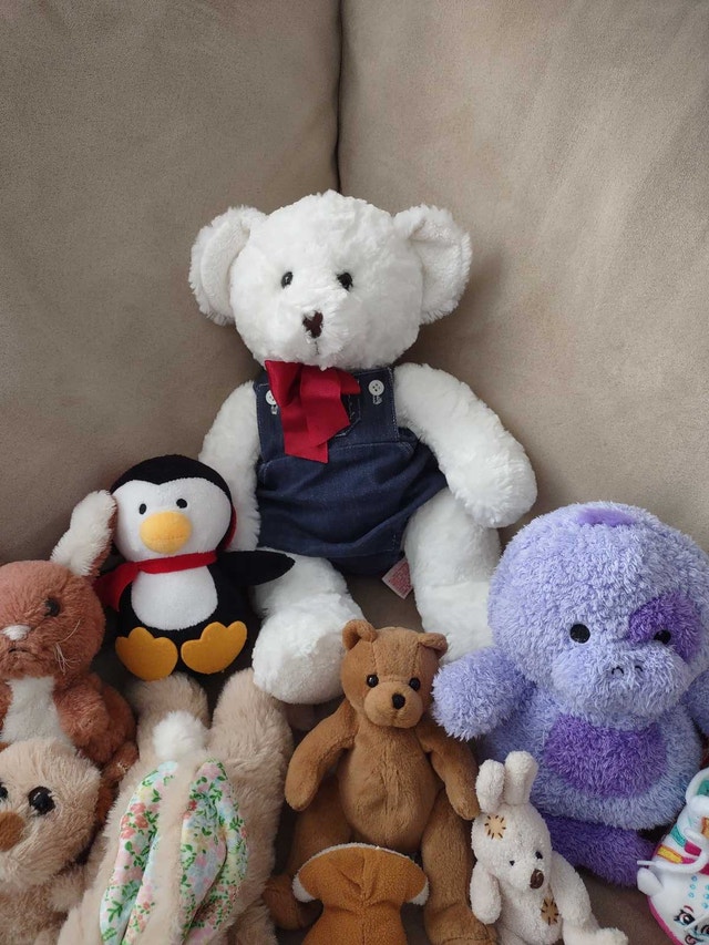 Stuffed Animals - photo 4
