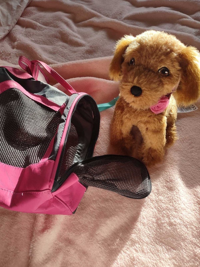 American Girl Tenney's Dog and Pet Carrier