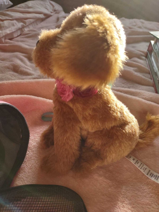 American Girl Tenney's Dog and Pet Carrier - photo 3