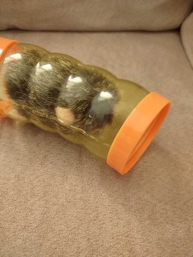 Our Generation Guinea Pig Set - photo 2