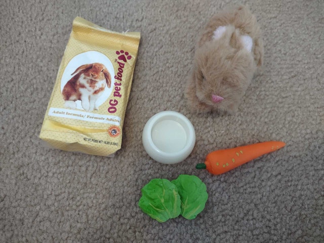 Our Generation Pet Bunny Set