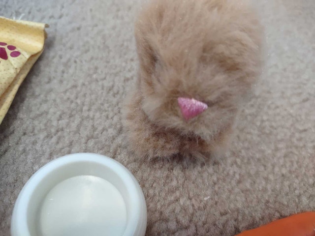 Our Generation Pet Bunny Set - photo 2