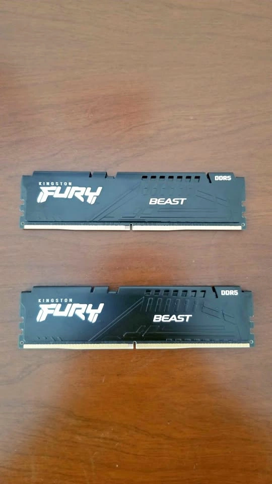 DDR5 16gb (2x8) Ram