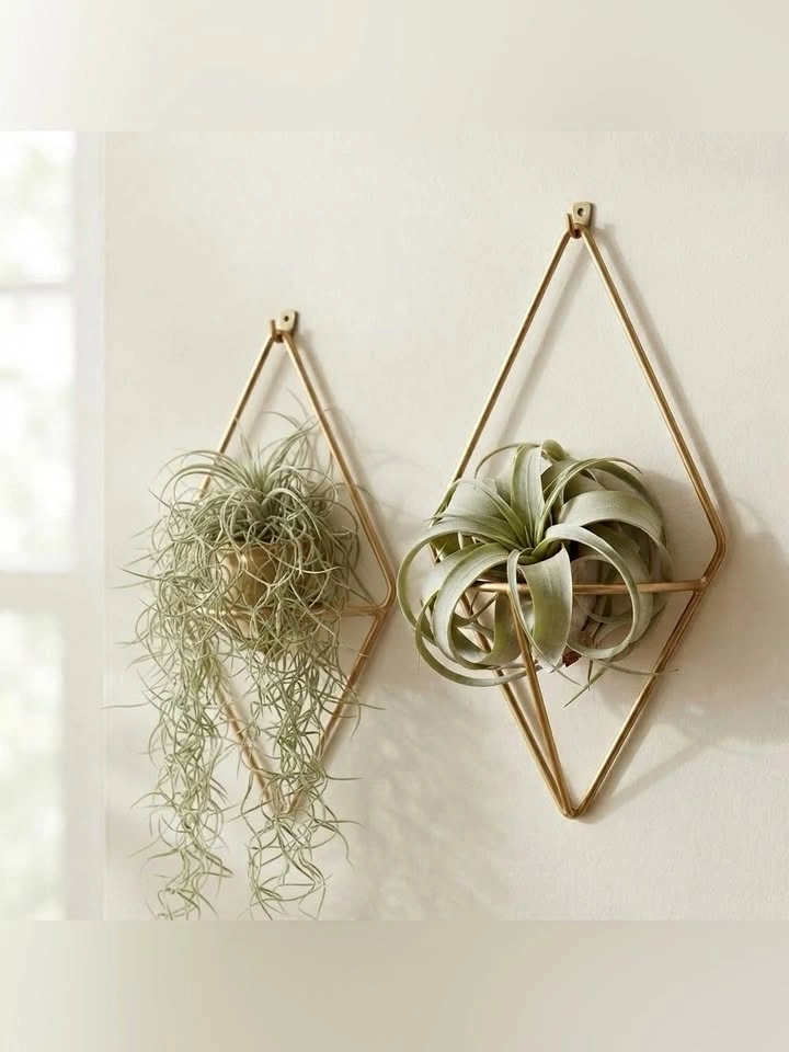 Umbra Geometric Gold Hanging Wall Planters Set of 2