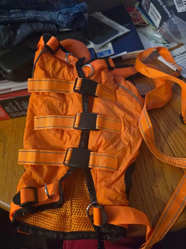 Dog Harness with Leash