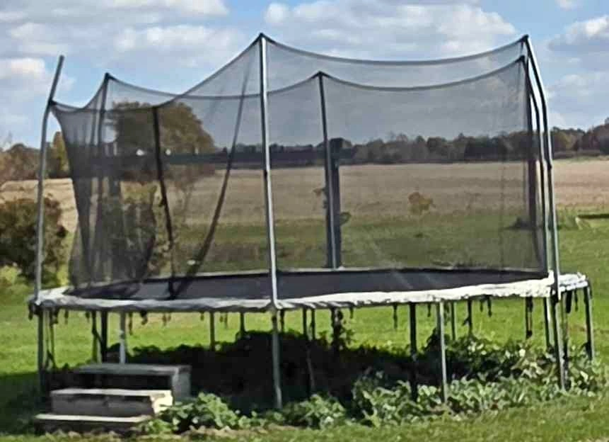 Skywalker Trampoline with Safety Enclosure