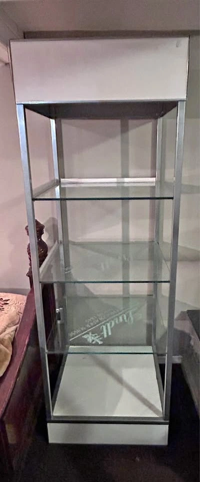 Vertical Glass Display / Showcase / Storage