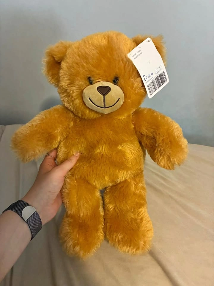 Brand new Build a bear Read Teddy