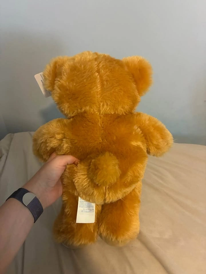 Brand new Build a bear Read Teddy - photo 2