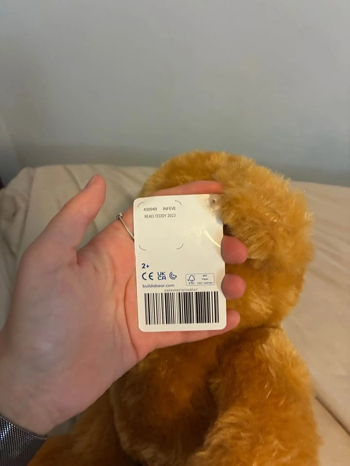 Brand new Build a bear Read Teddy - photo 3