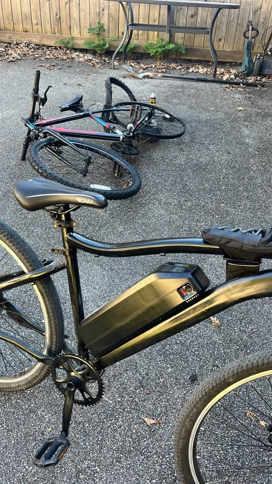 E-bike - photo 2