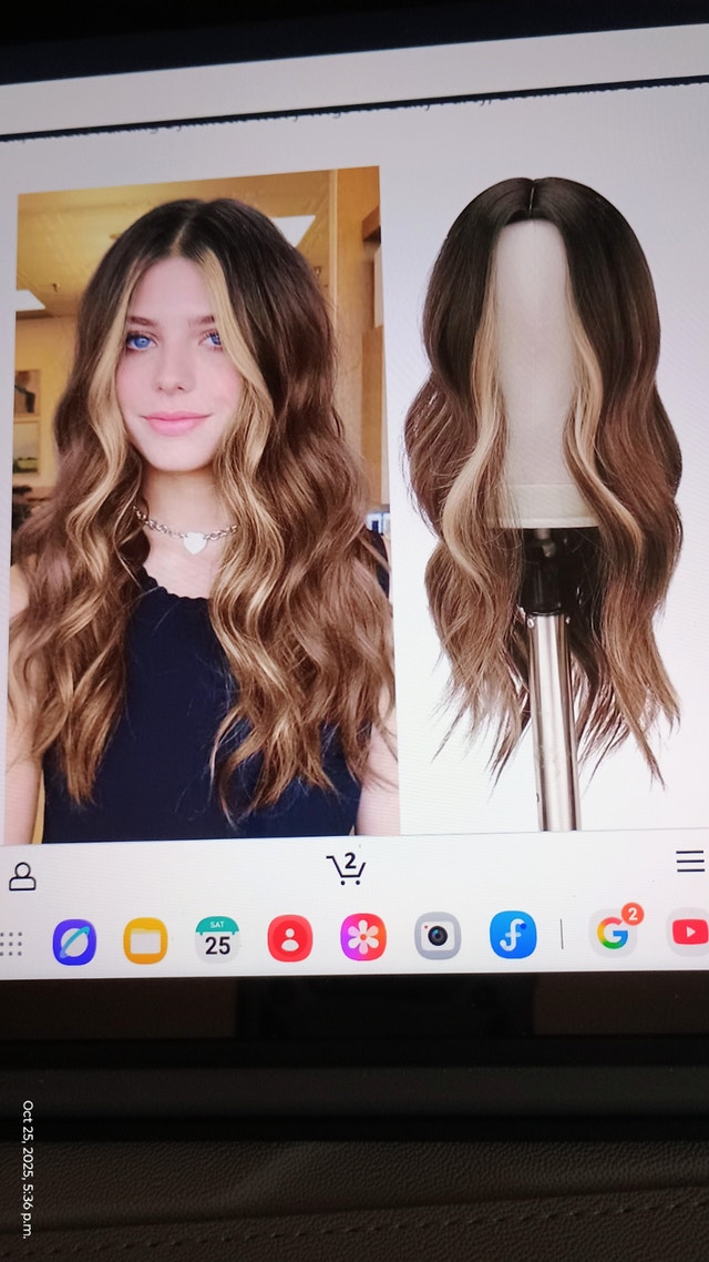 Synthetic Wig – Long Length