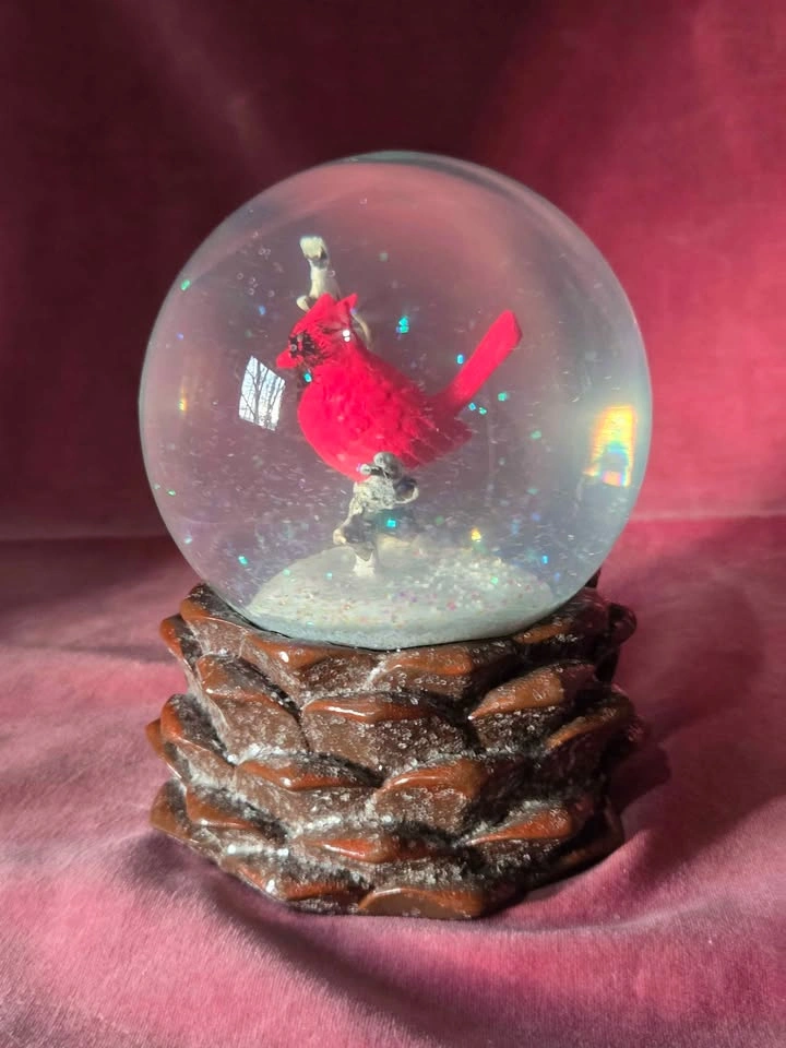 Vintage Winter Red Cardinal Bird Snowglobe - photo 2