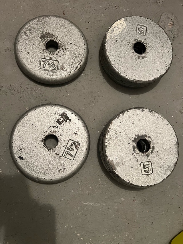 Cast Iron 1” Standard Weight Plates