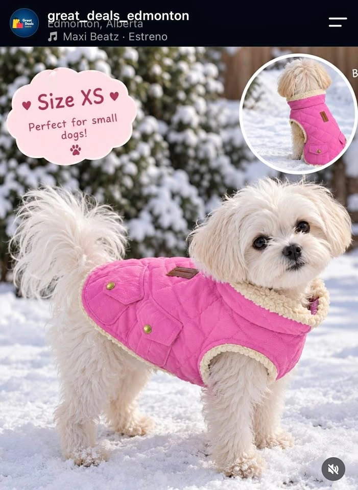 Waterproof Dog winter coat XS