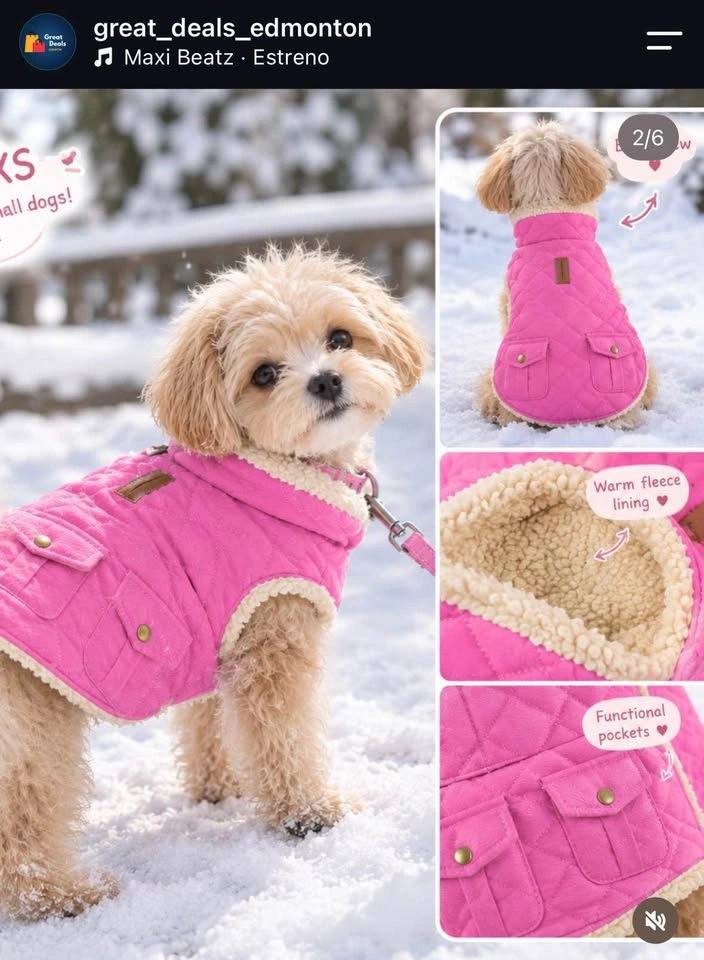 Waterproof Dog winter coat XS - photo 2